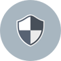 Domain Risk Auditor