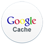 Page Snapshot Analyst